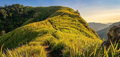 Camino de una montaña